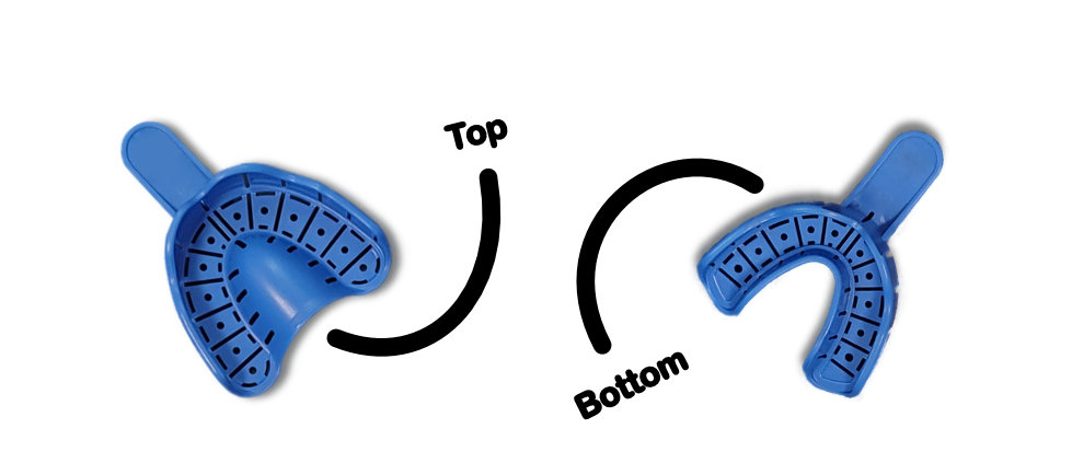 Smiles Club Clear Aligner Oral tray showing the difference between the upper and the lower.