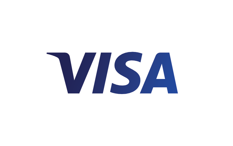 Visa payment Icon